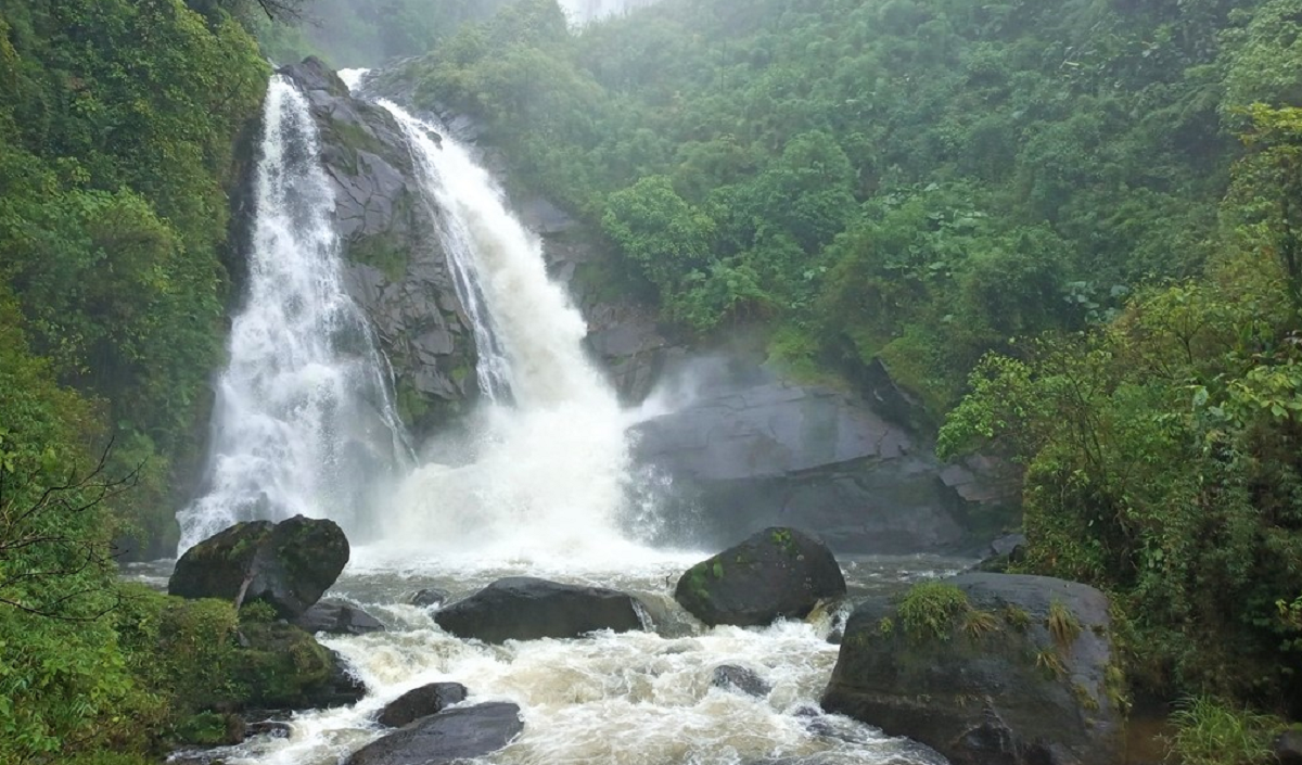 Cachoeira do Veado